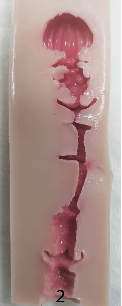 #2(14cm)